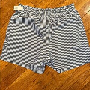 Old Navy Blue and White Seersucker Shorts
